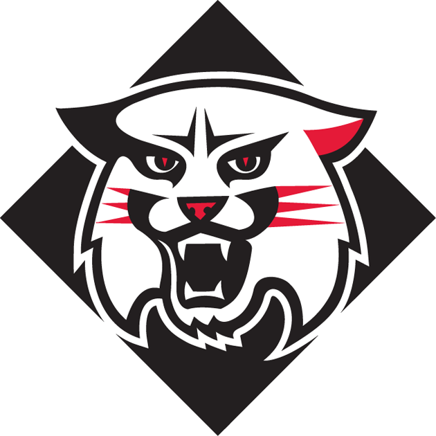 Davidson Wildcats 2010-Pres Alternate Logo t shirts iron on transfers